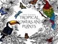 Vector illustration of a toucan and a macaw parrot in a tropical garden with butterflies Royalty Free Stock Photo